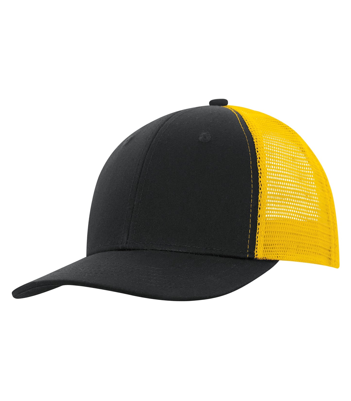 ATC Everyday Snapback